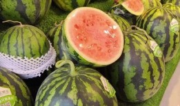 莎头外协吃瓜,揭秘娱乐圈的甜蜜瓜田