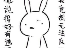 带你吃瓜奇葩法律,盘点那些让人哭笑不得的“奇葩”法律