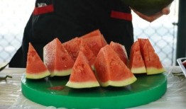 航空大学吃瓜,揭秘校园里的那些“吃瓜”故事