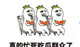 吃瓜群众都很搞笑吗,搞笑背后的社会现象解析