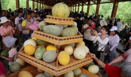 哈密吃瓜仔,揭秘新疆特色美食背后的故事