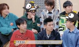 吃瓜小组018,揭秘娱乐圈最新热点事件