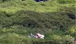 悬崖边吃瓜,揭秘惊险刺激的极限挑战