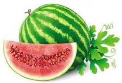 反季节吃瓜,反季节吃瓜，尽享清凉时光