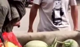 假装吃瓜的视频,揭秘“假装吃瓜”短视频背后的趣味与真相