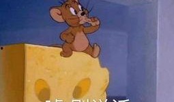 吃瓜可以乱说吗