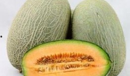痔疮吃哈密瓜,天然食疗新选择