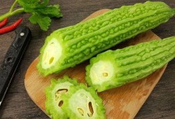 塔瓜怎么吃,探索美味新境界