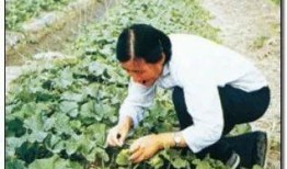 吃瓜忘掉烦恼,轻松忘却烦恼时光