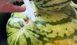 吃瓜搞笑配口型,口型演绎欢乐盛宴