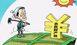 全校重难点吃瓜,吃瓜群众眼中的热点聚焦