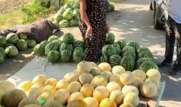 51朝阳吃瓜热门,揭秘热门事件背后的真相与笑料