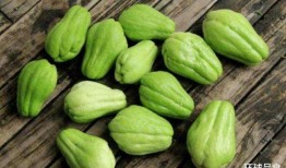 吃瓜寓意是什么,揭秘“吃瓜”背后的寓意与哲理