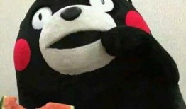 吃瓜表情视频素材,趣味横生的表情包盛宴