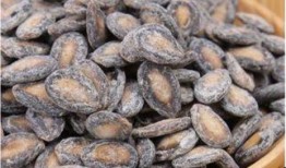 见面吃瓜嗑瓜子,揭秘社交中的趣味瞬间