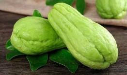 优米吃瓜,揭秘娱乐圈幕后真相