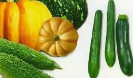 老牧吃瓜,揭秘娱乐圈背后的那些事儿