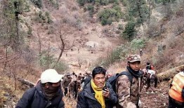 理塘吃瓜事件,一场网络狂欢背后的真相与反思