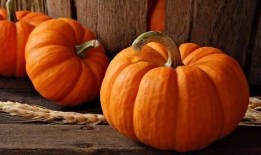 奶瓜几月可以吃,揭秘最佳食用月份，尽享美味与营养