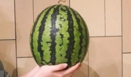 漫展广州吃瓜,一场吃瓜盛宴，揭秘幕后花絮