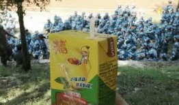 华职吃瓜,揭秘校园热点事件背后的真相