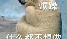 悲伤吃瓜群众图片大全,图解网络时代的情感共鸣与调侃