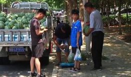 温县吃瓜群众事件始末,一场网络舆论的风波与反思