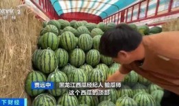 吃瓜中心,吃瓜中心带你领略明星幕后故事