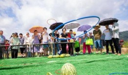 梁山观景台吃瓜,瓜果飘香，尽享夏日盛宴