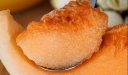 金皮蜜瓜怎么吃,解锁夏日清新美味