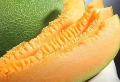 绿蜜瓜怎么吃,绿蜜瓜的多样食用指南