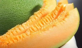 绿蜜瓜怎么吃,绿蜜瓜的多样食用指南