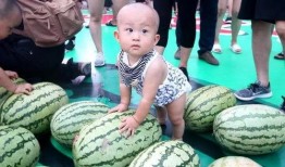 带朋友吃瓜,揭秘娱乐圈那些不为人知的幕后故事