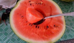 网友在网上吃瓜