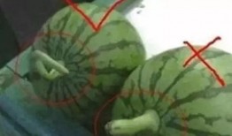 挑西瓜吃瓜,揭秘挑选美味西瓜的秘诀