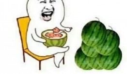 中字开头吃瓜,中字品牌瓜界风云录