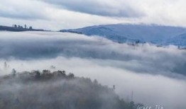 禾木吃瓜,探寻瓜果飘香中的田园生活