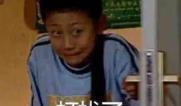 汪小菲吃瓜员,揭秘娱乐圈幕后风云