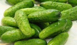 秋天吃瓜笑哈哈,欢乐满园