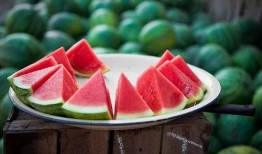 拉萨吃瓜群众群,揭秘藏地生活百态