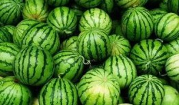 吃瓜群资源大全,海量资讯一网打尽