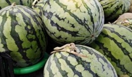 邢台热门吃瓜事件,揭秘本地最新热门吃瓜事件