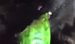 黑猫吃瓜网,揭秘娱乐圈幕后故事，带你领略明星真实生活