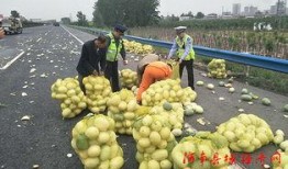 苏州湾吃瓜群众,夏日吃瓜群众的欢乐盛宴