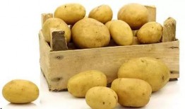 土豆姐吃瓜,揭秘娱乐圈幕后故事