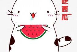 吃瓜表情视频素材,趣味横生的表情包盛宴