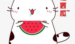 吃瓜表情视频素材,趣味横生的表情包盛宴