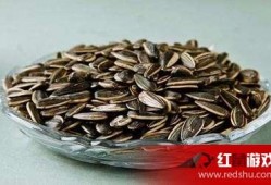 吃瓜仔上火牙龈,揭秘日常饮食中的健康隐患